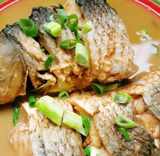 冻鲤鱼家常做法有哪些?-图3 冻鲤鱼家常做法有哪些?-图3