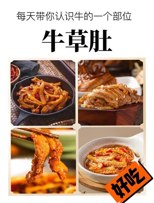 家常牛肚怎么做才好吃?-图3 家常牛肚怎么做才好吃?-图3