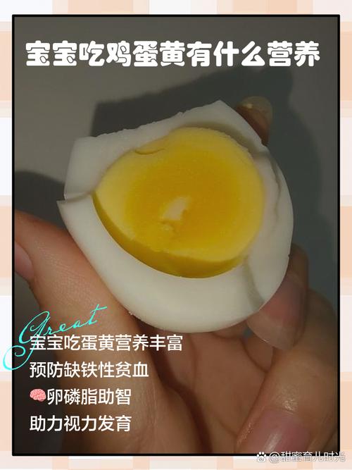 6月宝宝蛋黄怎么吃才安全?-图3 6月宝宝蛋黄怎么吃才安全?-图3