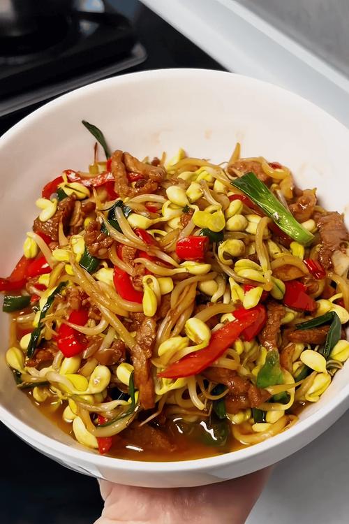 豆芽肉怎么做?家常做法有哪些?-图3 豆芽肉怎么做?家常做法有哪些?-图3