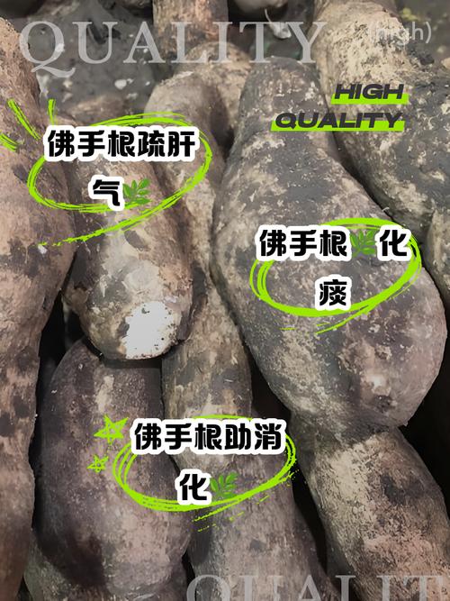 红薯根怎么做？家常做法有哪些？-图2
