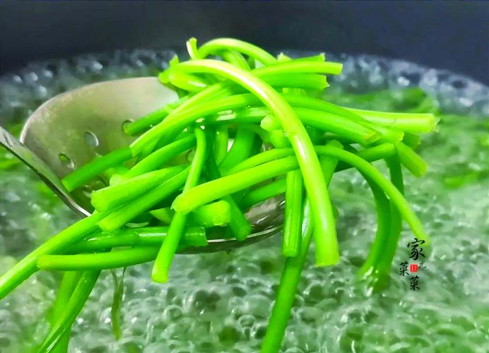 红薯根怎么做？家常做法有哪些？-图3