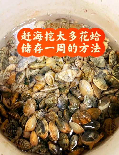 海鲜怎么保存才新鲜?-图1 海鲜怎么保存才新鲜?-图1