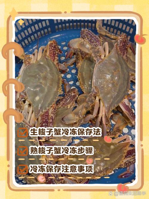 海鲜怎么保存才新鲜?-图2 海鲜怎么保存才新鲜?-图2