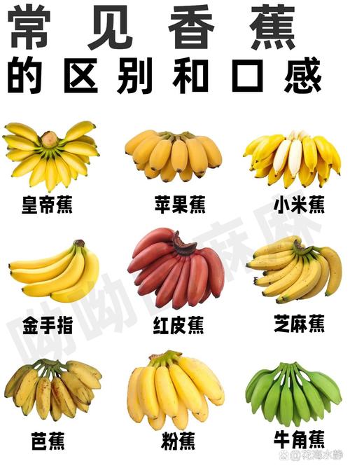 海鲜香蕉同食会中毒吗?-图2 海鲜香蕉同食会中毒吗?-图2