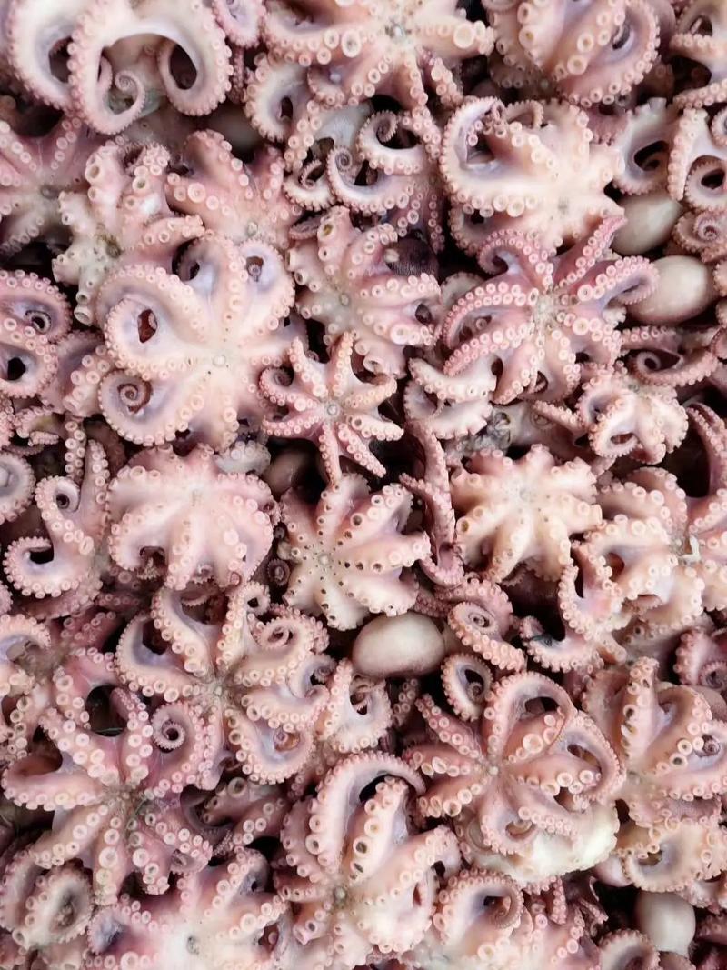 海鲜大咖原料如何正确储存保鲜？-图3