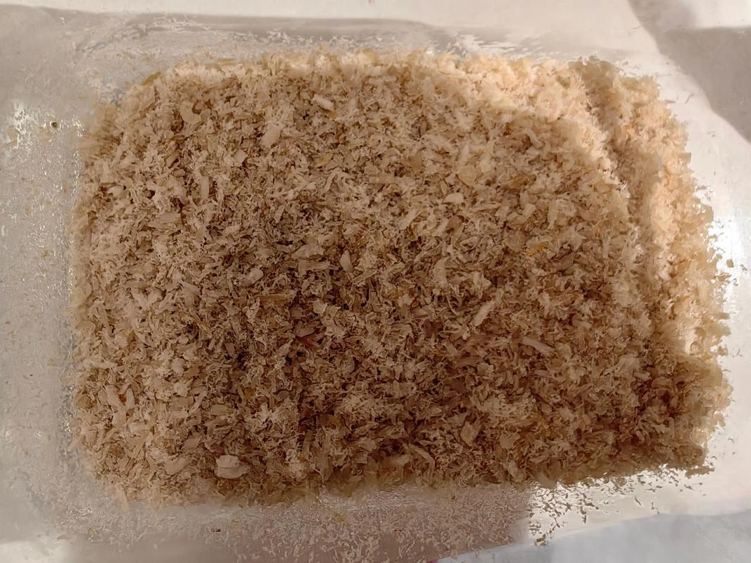 8月龄宝宝能吃肉松吗？-图1