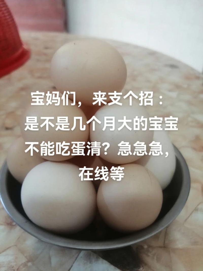 10月龄宝宝可吃全蛋吗?-图1 10月龄宝宝可吃全蛋吗?-图1
