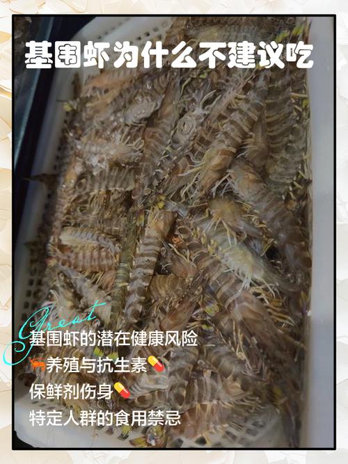 一岁宝宝能吃基围虾吗？需注意什么？-图1