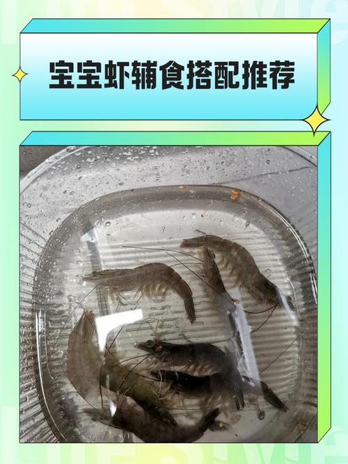 一岁宝宝能吃基围虾吗？需注意什么？-图2