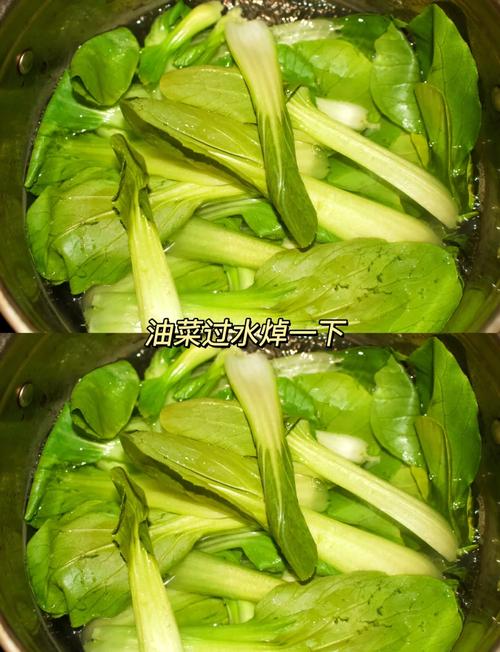 家常油菜做法有哪些?-图3 家常油菜做法有哪些?-图3