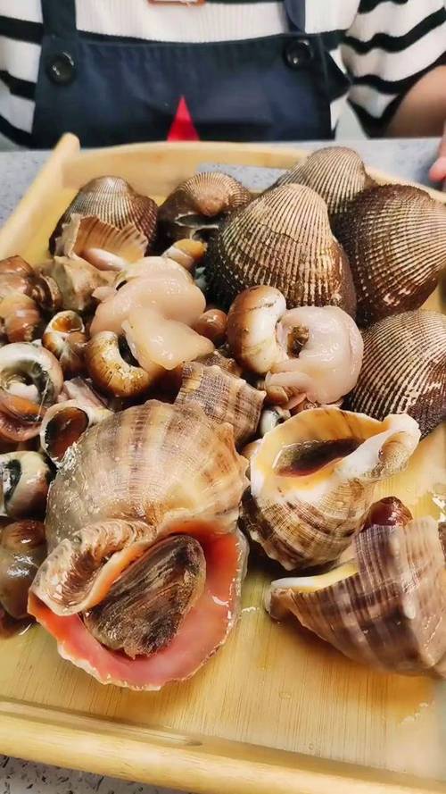 贝壳内海鲜有哪些？-图2