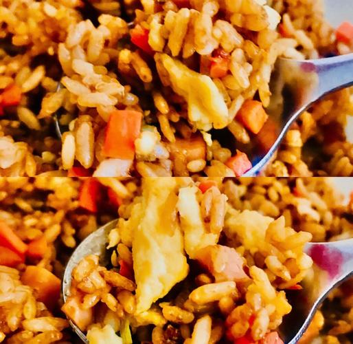 海鲜酱还是蚝油?炒饭酱料怎么选?-图1 海鲜酱还是蚝油?炒饭酱料怎么选?-图1