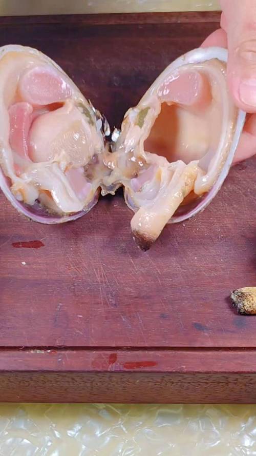 海鲜天鹅蛋哪些部位不能吃?-图3 海鲜天鹅蛋哪些部位不能吃?-图3