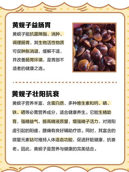 海鲜黄贝内脏怎么清理？-图1