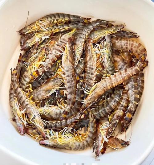 竹节虾怎么做?看图学做海鲜美味?-图1 竹节虾怎么做?看图学做海鲜美味?-图1