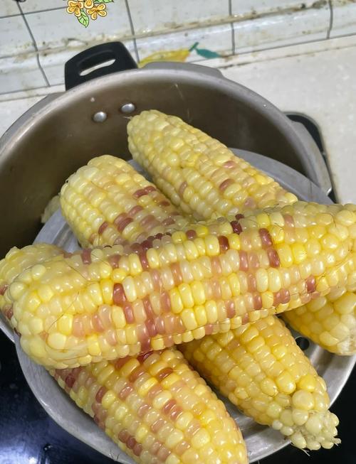 熟玉米家常做法有哪些?-图1 熟玉米家常做法有哪些?-图1