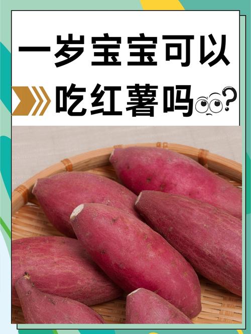 八个月宝宝能吃地瓜吗?怎么吃才安全?-图1 八个月宝宝能吃地瓜吗?怎么吃才安全?-图1