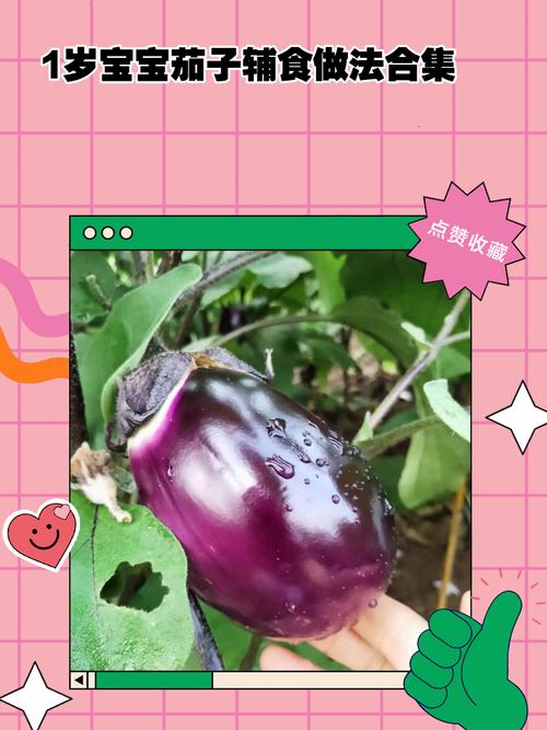 九个月宝宝能吃茄子吗？-图3