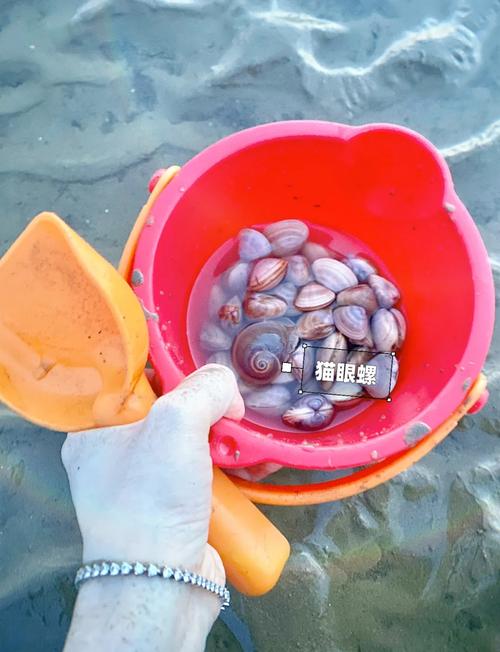 海鲜怎么快速吐沙？-图3