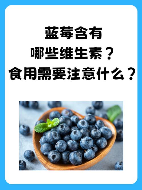 九个月宝宝能吃蓝莓吗?怎么吃安全?-图3 九个月宝宝能吃蓝莓吗?怎么吃安全?-图3
