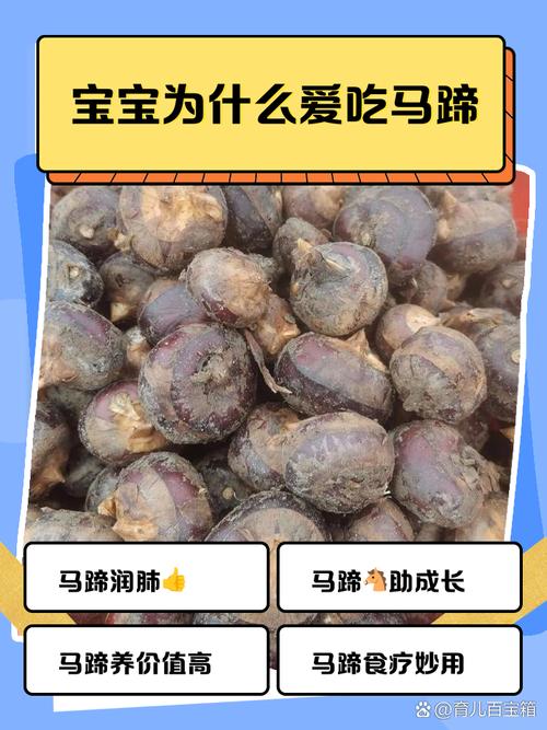 九个月宝宝能吃马蹄吗？-图2