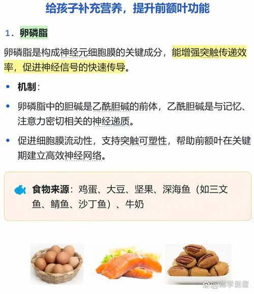 宝宝吃什么能促进大脑发育?-图3 宝宝吃什么能促进大脑发育?-图3