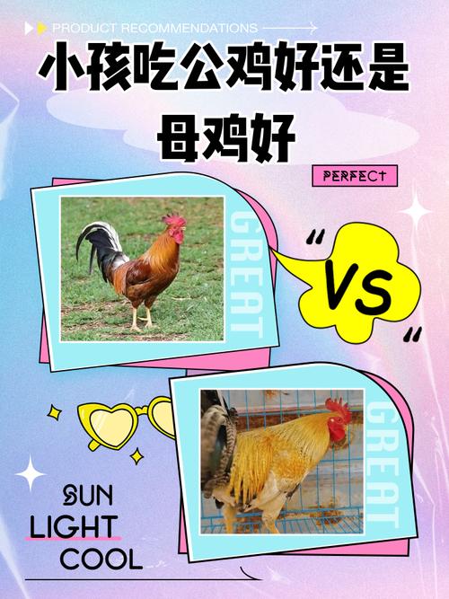 十个月宝宝能吃鸡肉吗?-图1 十个月宝宝能吃鸡肉吗?-图1