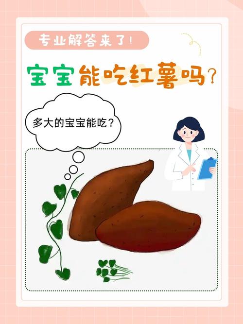 一岁宝宝能吃红薯吗?-图1 一岁宝宝能吃红薯吗?-图1