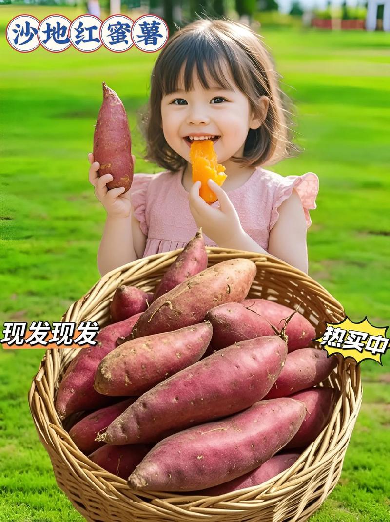 一岁宝宝能吃红薯吗?-图2 一岁宝宝能吃红薯吗?-图2