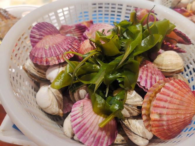 海鲜天鹅蛋怎么做?视频教程看这里!-图2 海鲜天鹅蛋怎么做?视频教程看这里!-图2