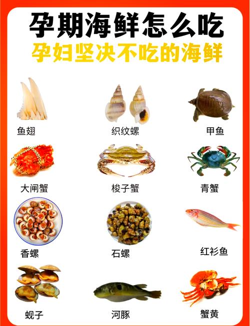 海鲜不能与哪些同食?-图1 海鲜不能与哪些同食?-图1