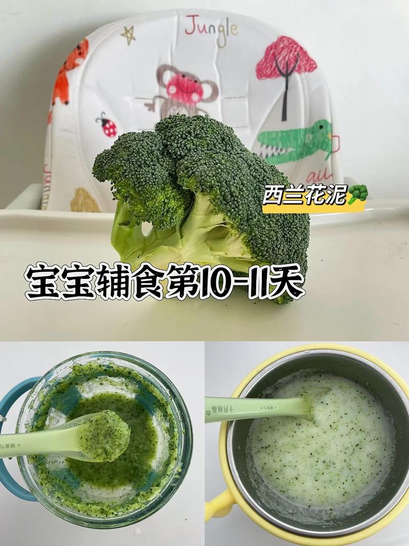 西兰花怎么给宝宝做辅食-图3