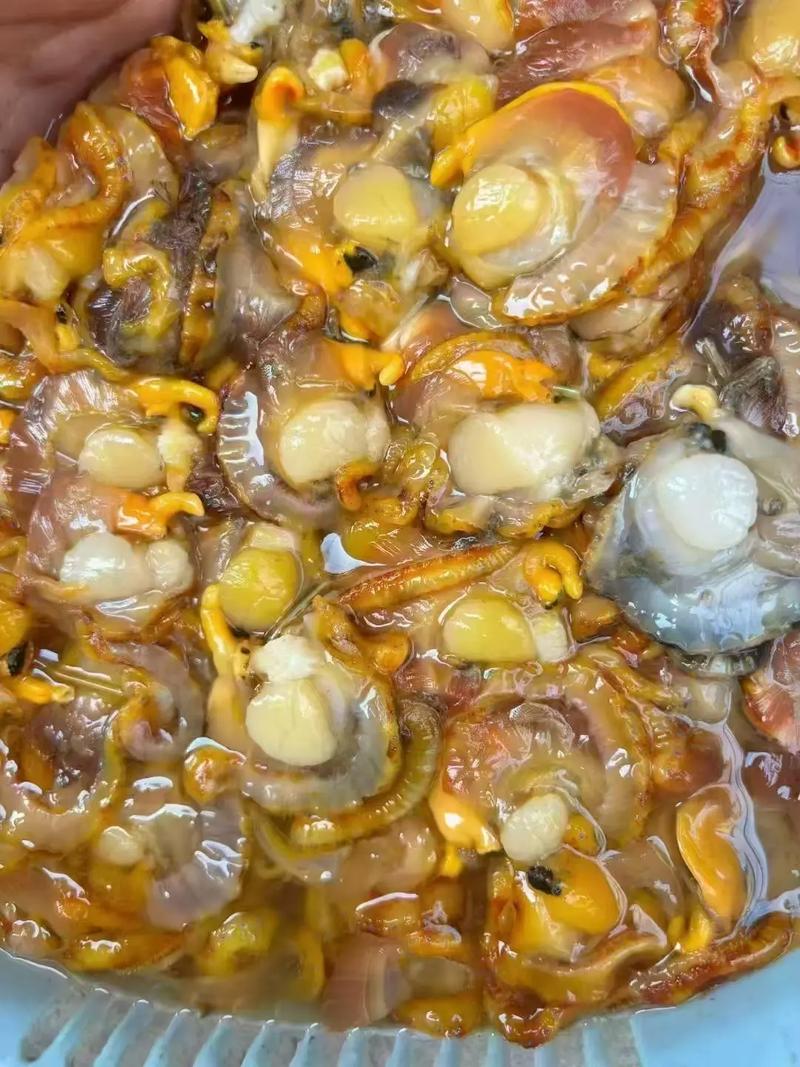 宝宝能吃海鲜扇贝柱吗？-图2