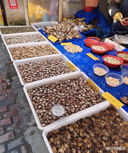 马兰广场附近海鲜市场哪里买最新鲜?-图1 马兰广场附近海鲜市场哪里买最新鲜?-图1