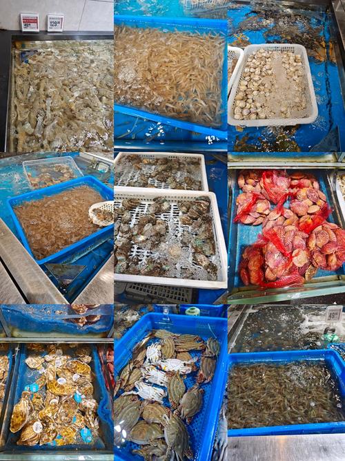 马兰广场附近海鲜市场哪里买最新鲜?-图3 马兰广场附近海鲜市场哪里买最新鲜?-图3