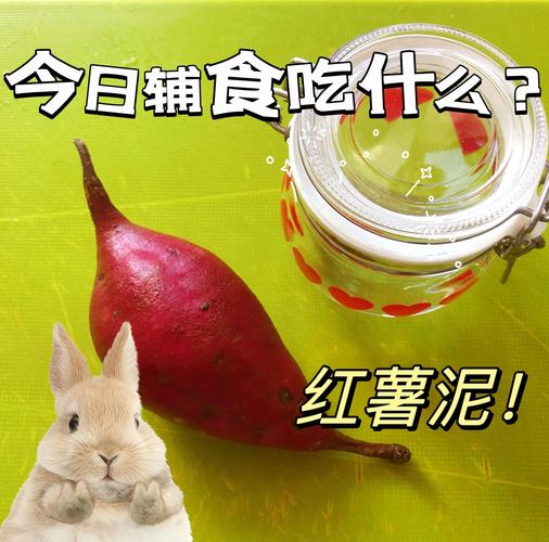 8月宝宝能吃地瓜吗?要注意什么?-图3 8月宝宝能吃地瓜吗?要注意什么?-图3