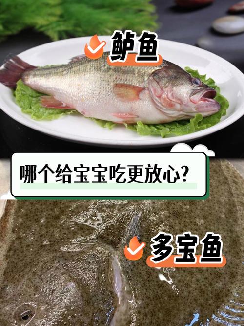 8月宝宝能吃鲈鱼吗？需注意什么？-图3