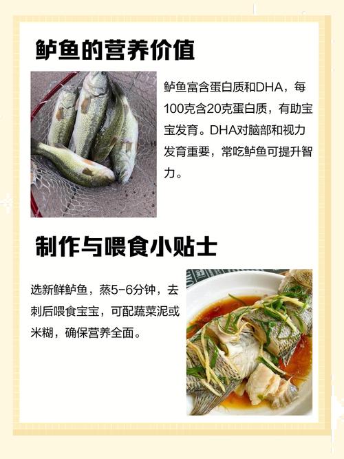 7月宝宝能吃鲈鱼吗?怎么吃才安全?-图3 7月宝宝能吃鲈鱼吗?怎么吃才安全?-图3