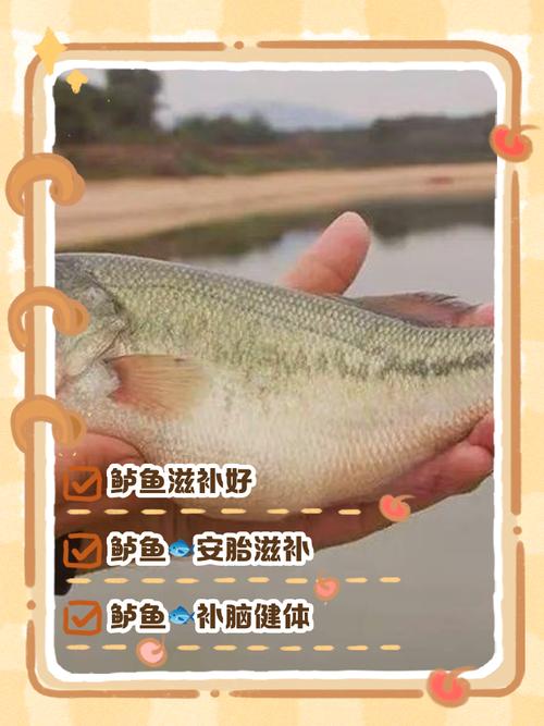 7月宝宝能吃鲈鱼吗?怎么吃才安全?-图2 7月宝宝能吃鲈鱼吗?怎么吃才安全?-图2