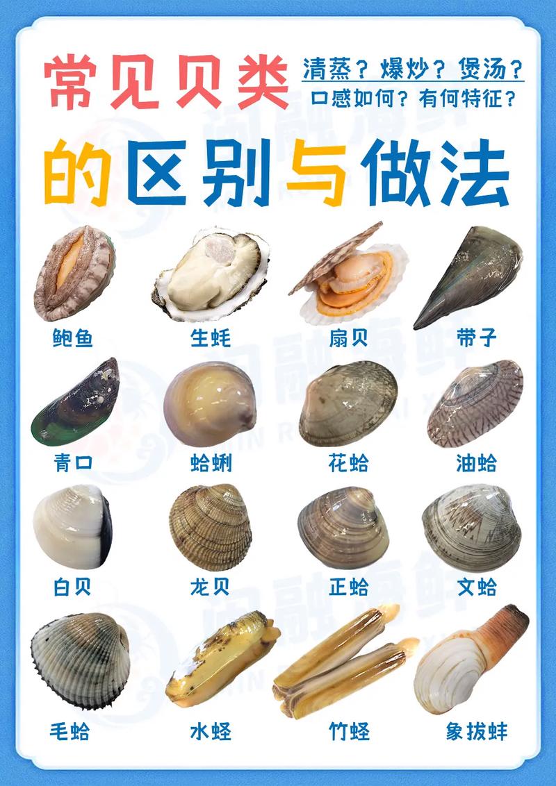 贝类海鲜做法大全有图，哪种最简单美味？-图1