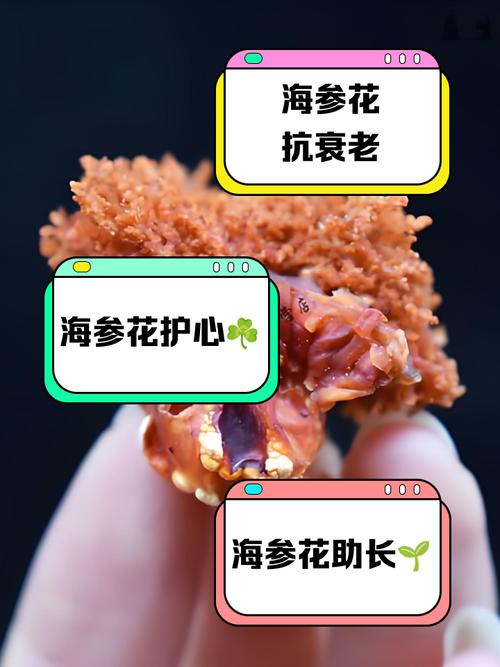 干海参花怎么做好吃?家常做法有哪些?-图3 干海参花怎么做好吃?家常做法有哪些?-图3