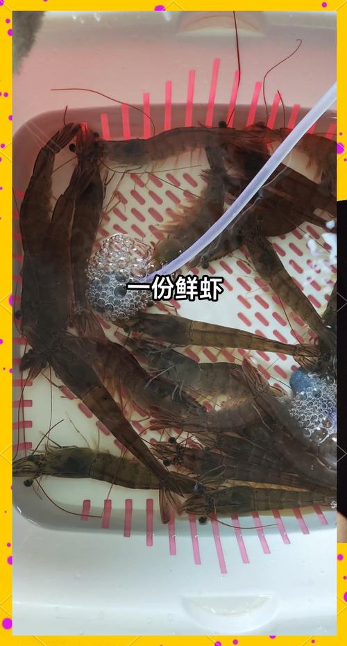 糯米蒸海鲜的做法大全-图1