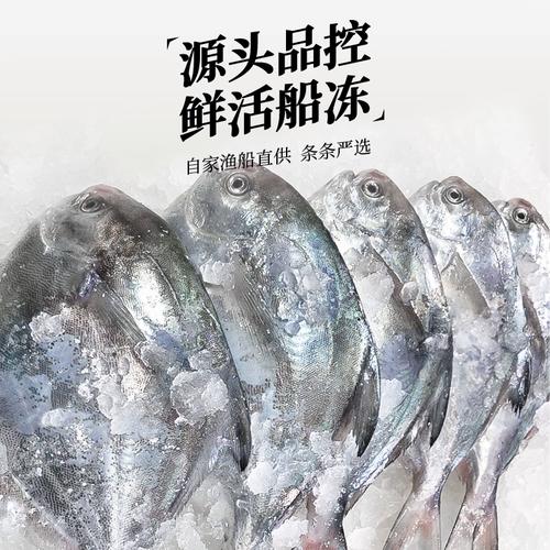 冰冻海鲜鱼怎么做好吃又鲜嫩？-图3