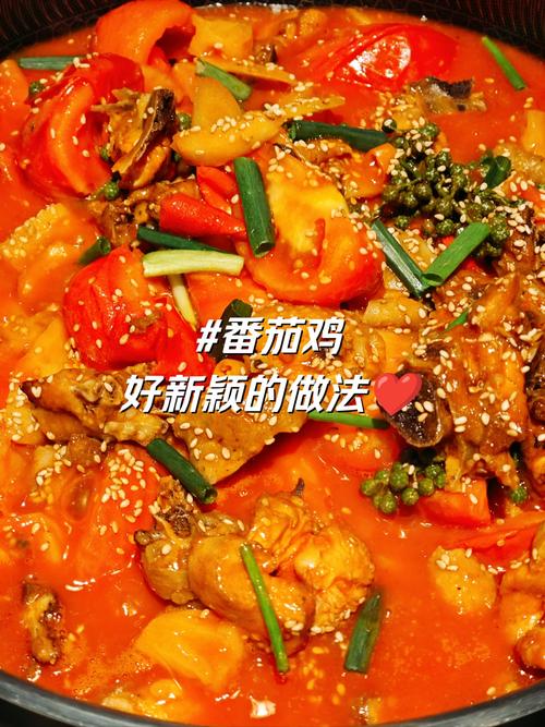 番茄炖鸡的做法大全家常-图1 番茄炖鸡的做法大全家常-图1