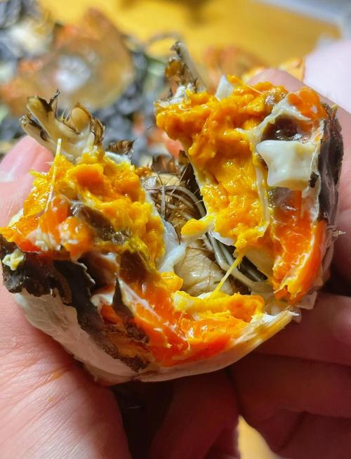 宝宝螃蟹做法视频有哪些?-图2 宝宝螃蟹做法视频有哪些?-图2