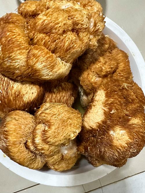 鲜猴头菇的家常做法大全-图2 鲜猴头菇的家常做法大全-图2