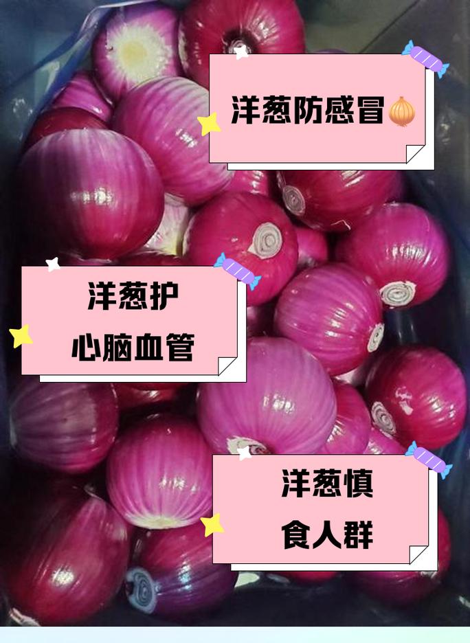 洋葱宝宝吃了什么好处-图2