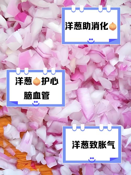 洋葱宝宝吃了什么好处-图1
