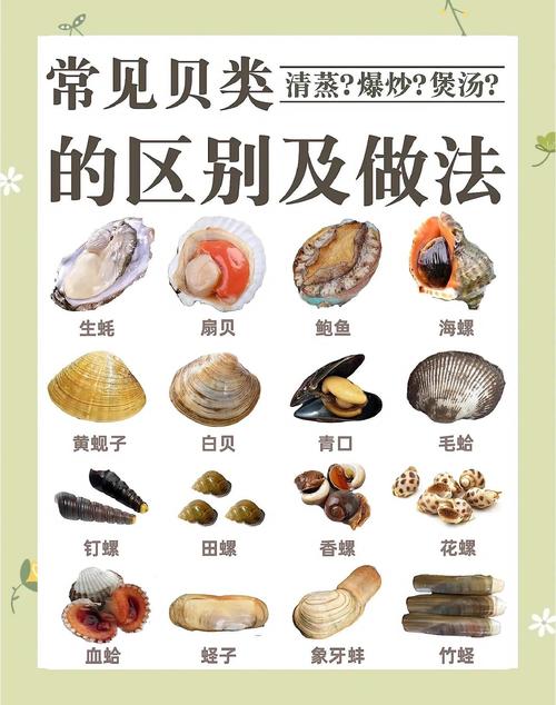 海鲜小贝壳的盐水浓度多少合适?-图2 海鲜小贝壳的盐水浓度多少合适?-图2